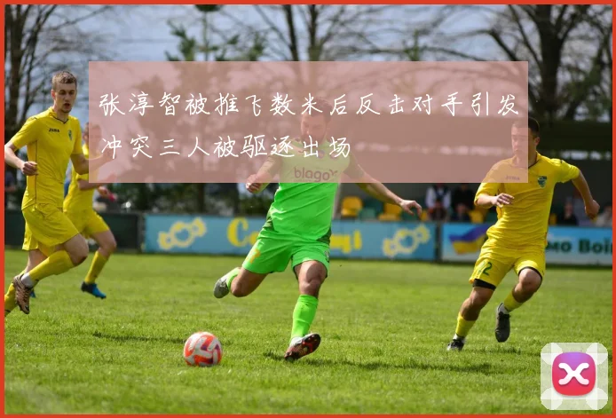 张淳智被推飞数米后反击对手引发冲突三人被驱逐出场